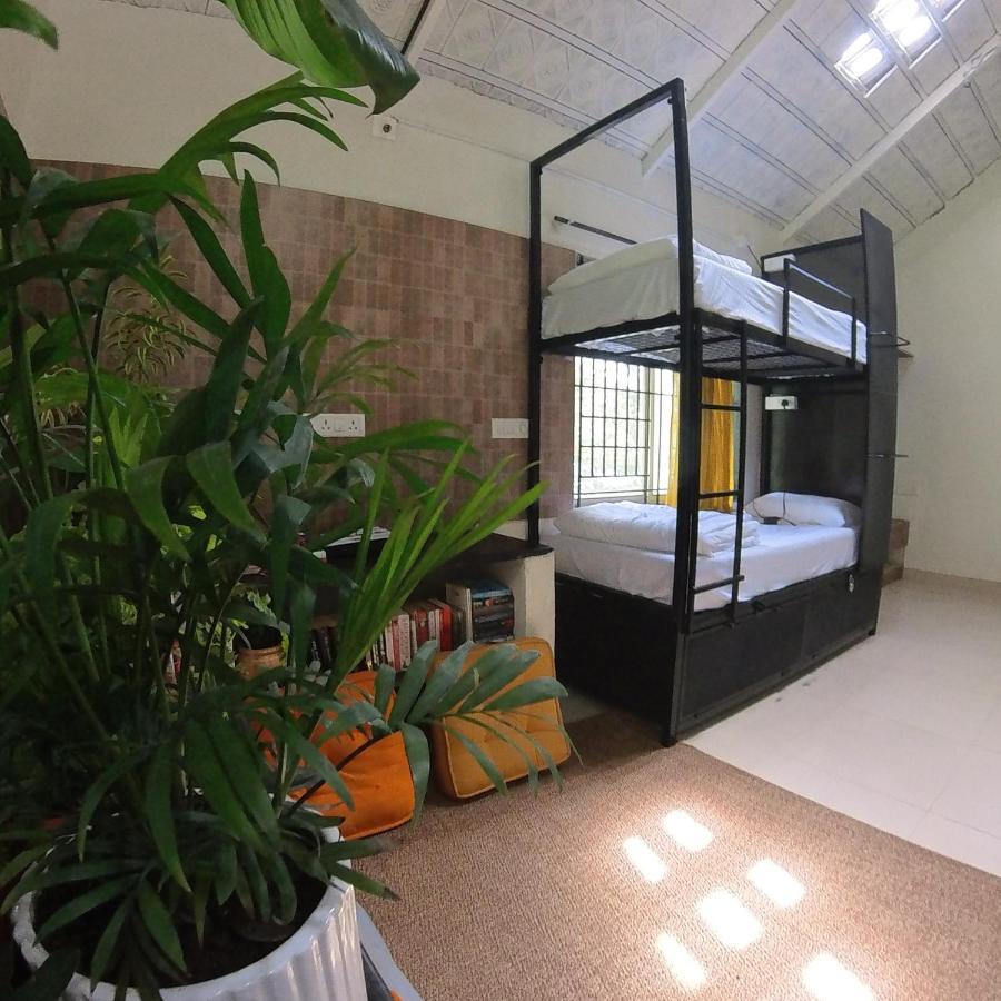 Benomadic Eco Hostel, Madikeri, Coorg Suntikoppa Eksteriør bilde