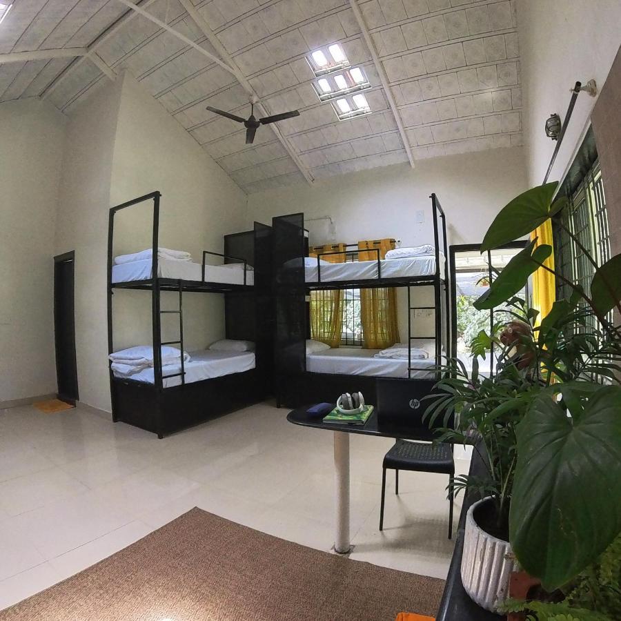 Benomadic Eco Hostel, Madikeri, Coorg Suntikoppa Eksteriør bilde