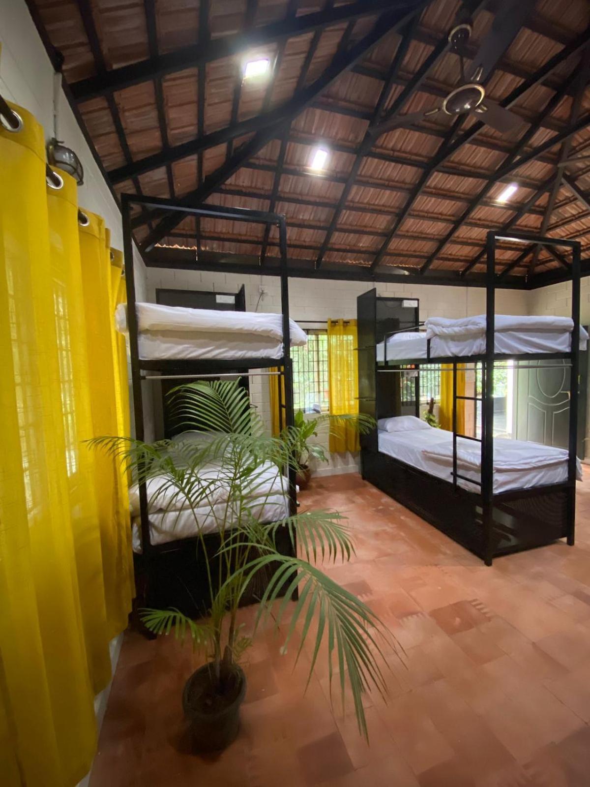 Benomadic Eco Hostel, Madikeri, Coorg Suntikoppa Eksteriør bilde