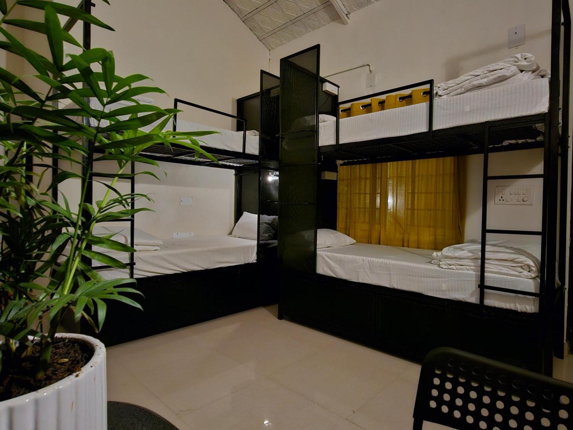 Benomadic Eco Hostel, Madikeri, Coorg Suntikoppa Eksteriør bilde
