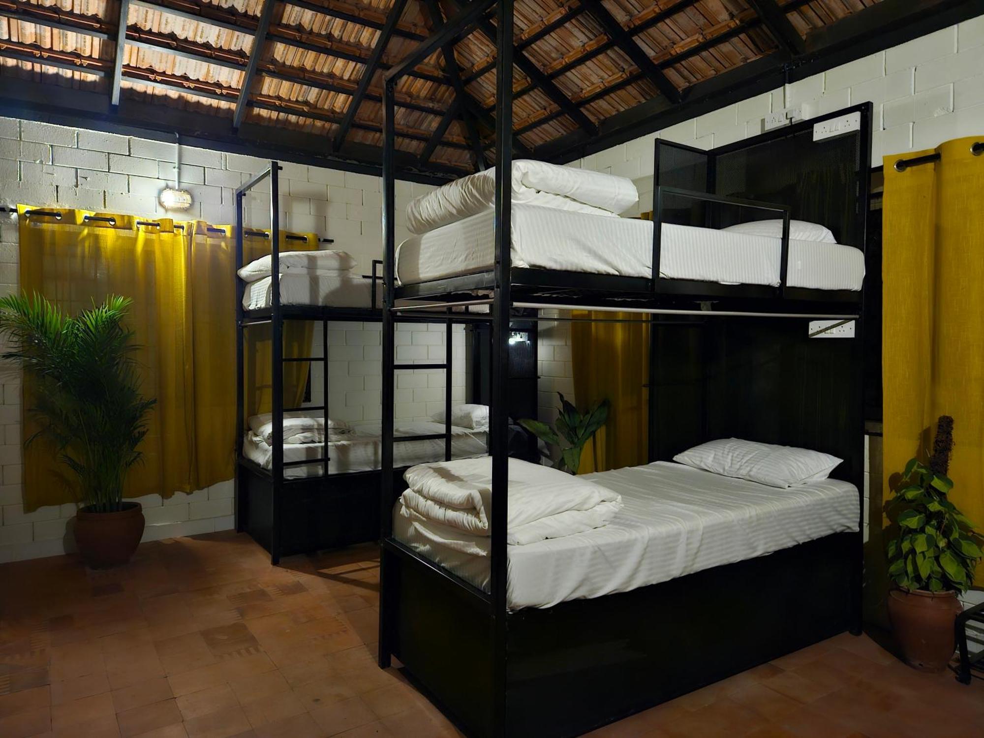 Benomadic Eco Hostel, Madikeri, Coorg Suntikoppa Eksteriør bilde