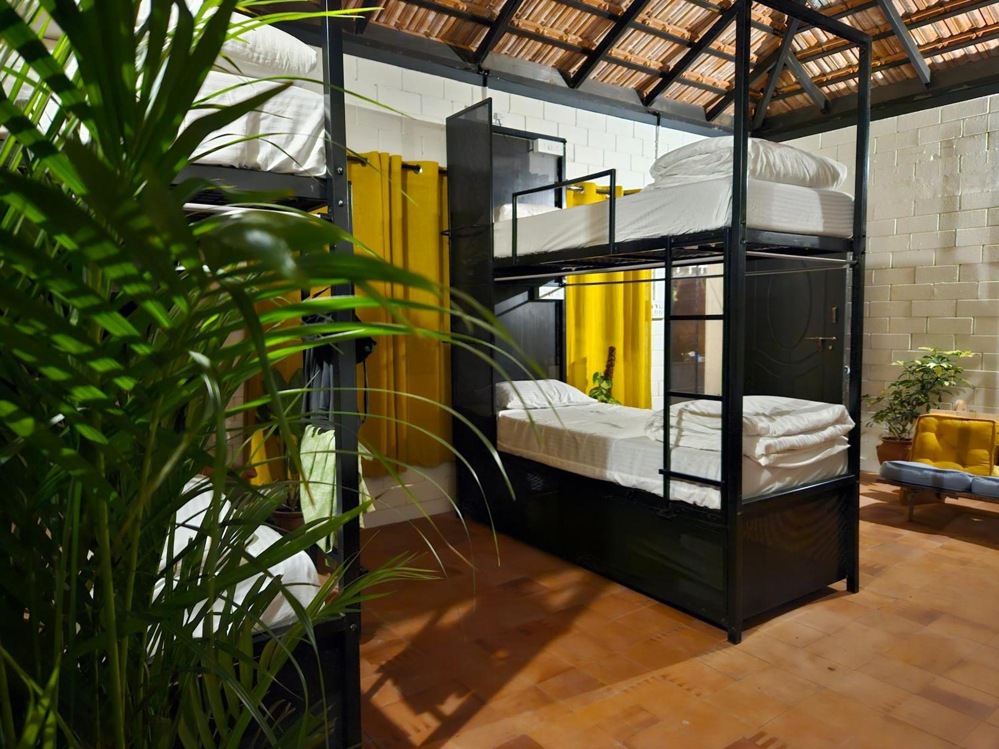 Benomadic Eco Hostel, Madikeri, Coorg Suntikoppa Eksteriør bilde