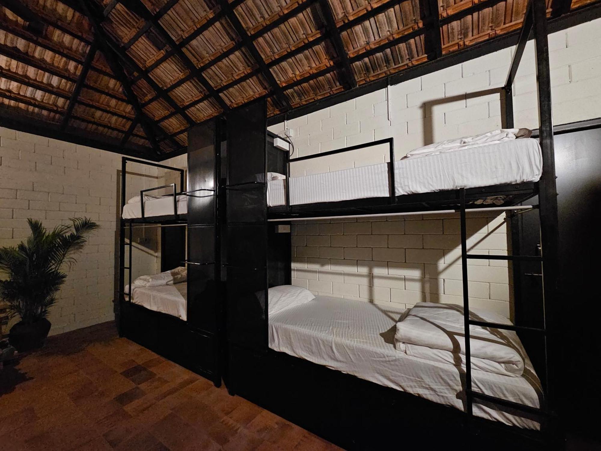 Benomadic Eco Hostel, Madikeri, Coorg Suntikoppa Eksteriør bilde