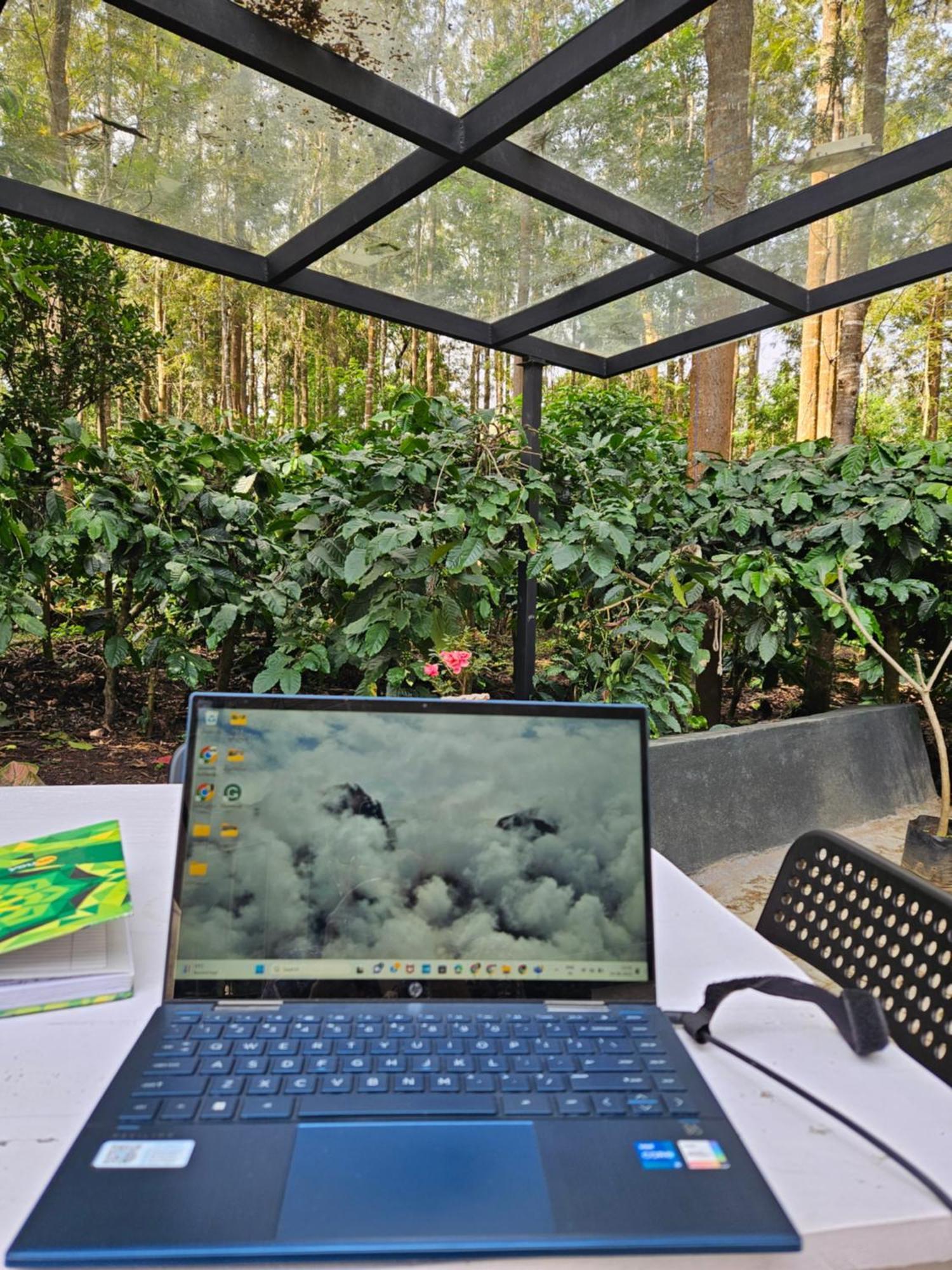 Benomadic Eco Hostel, Madikeri, Coorg Suntikoppa Eksteriør bilde